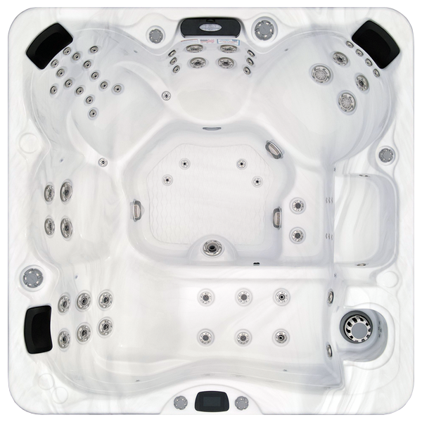 Avalon-X EC-867LX hot tubs for sale in Berkeley